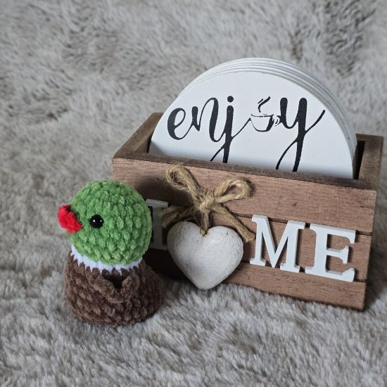 Obrazek Kaczorek Kapi