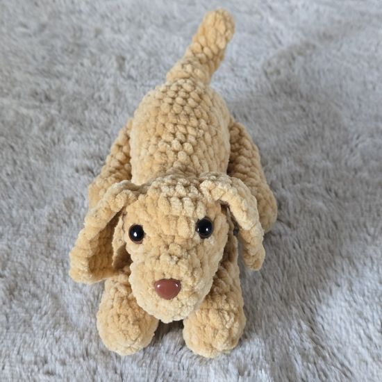 Obrazek Piesek Borys