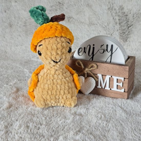 Obrazek Żółw Tymek