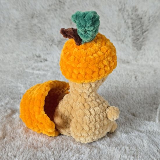 Obrazek Żółw Tymek