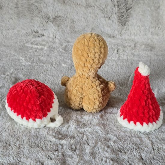 Obrazek Żółw Tymek