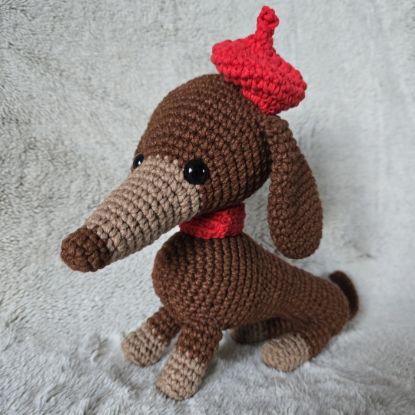 Obrazek Jamnik Marcel