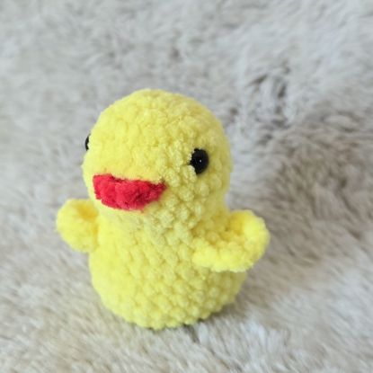 Obrazek Kaczuszka Kika